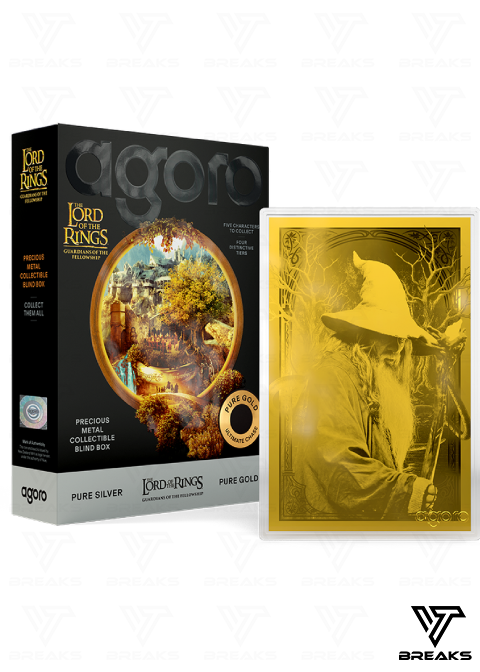 AGORO THE LORD OF THE RINGS - GUARDIANS OF THE FELLOWSHIP BLIND BOX - SEALED NACH HAUSE